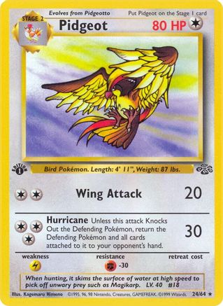 Pidgeot (24) (24) 024 - 1st Edition Jungle - Rare