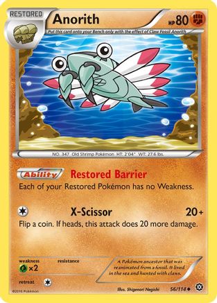 Anorith 056 - Reverse Holofoil XY Steam Siege - Uncommon