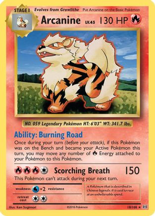 Arcanine 018 XY Evolutions - Rare