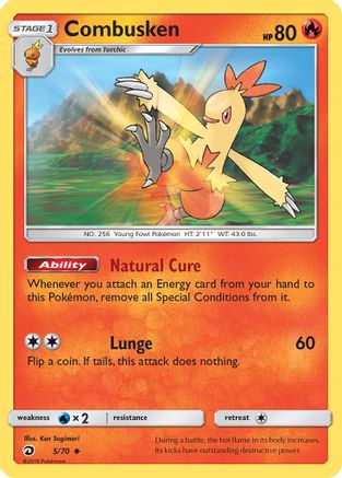 Combusken - Reverse Holofoil Dragon Majesty - Uncommon