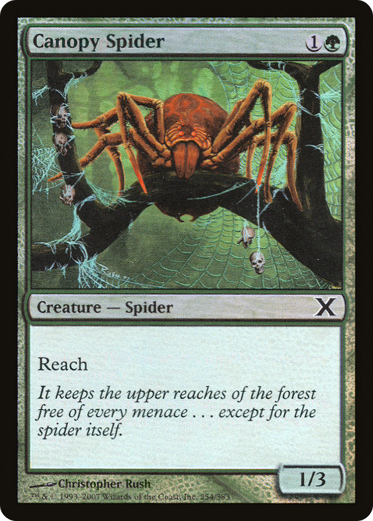 Canopy Spider (10E-254★) - Tenth Edition Foil