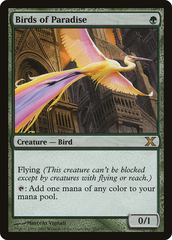 Birds of Paradise (10E-252) - Tenth Edition