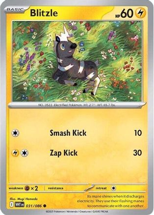 Blitzle 031 - Reverse Holofoil SV White Flare - Common