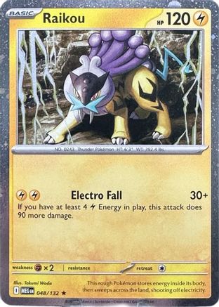 Raikou (Cosmos Holo) 048/132 - Holofoil Miscellaneous Cards & Products - Promo