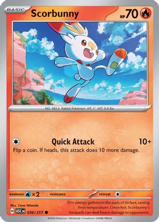 Scorbunny 036/217 ME Ascended Heroes - Common