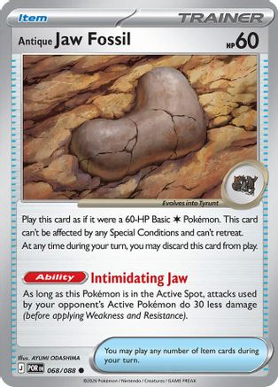 Antique Jaw Fossil 068 ME03 Perfect Order - Common