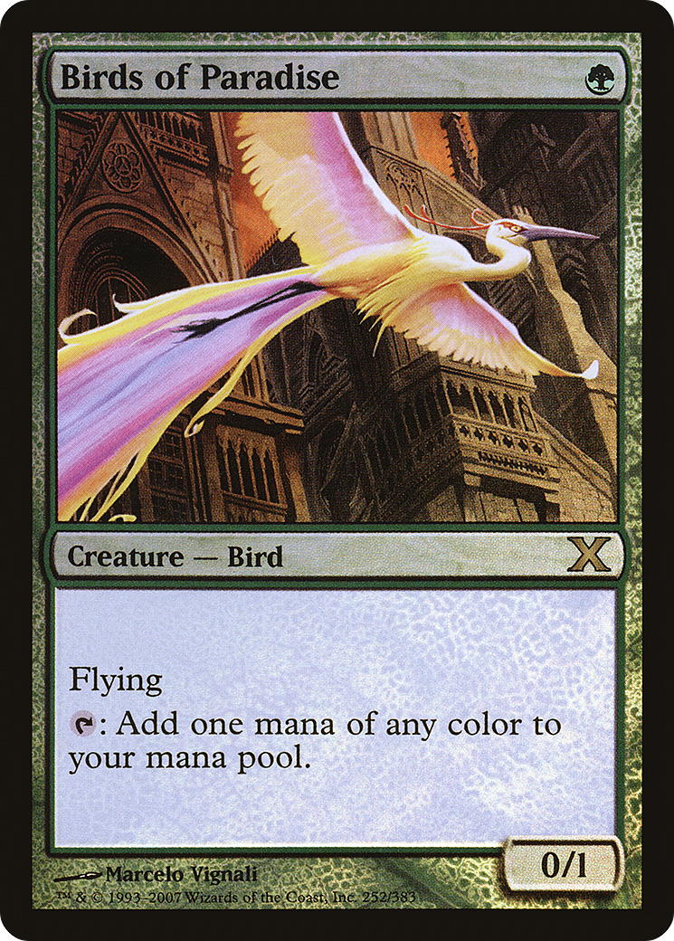 Birds of Paradise (10E-252★) - Tenth Edition Foil