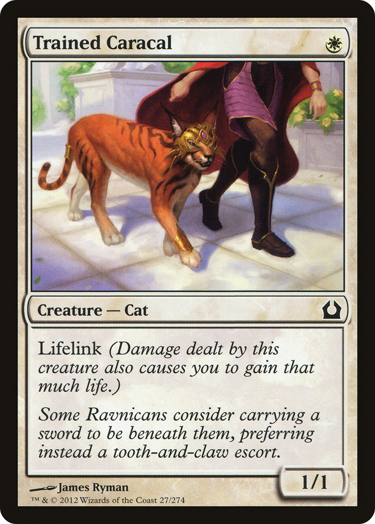 Trained Caracal (RTR-027) - Return to Ravnica