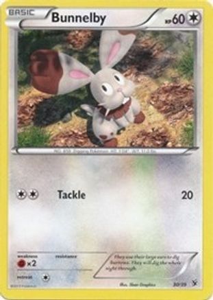 Bunnelby Kalos Starter Set - Common