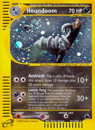 Houndoom (H11) - Holofoil Skyridge - Holo Rare