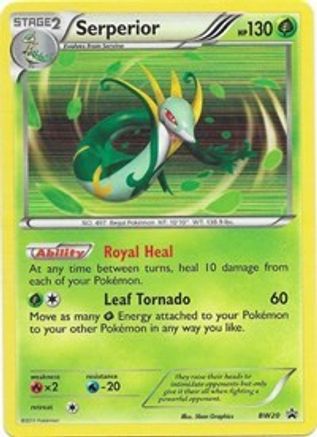 Serperior - BW20 - Holofoil Black and White Promos - Promo