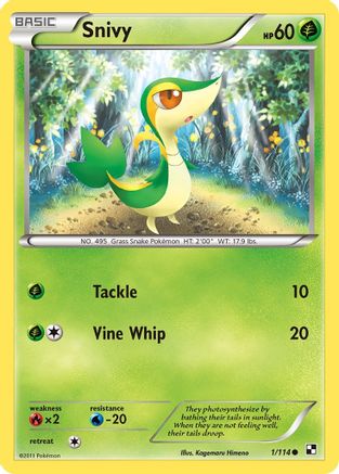 Snivy (1) (1) 001 - Reverse Holofoil Black and White - Common