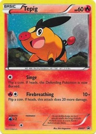 Tepig BW07 - Holofoil Black and White Promos - Promo