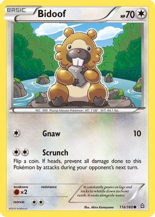 Bidoof 116 - Reverse Holofoil XY Primal Clash - Common