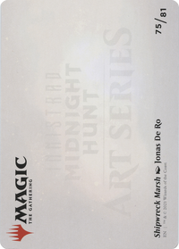 Shipwreck Marsh // Shipwreck Marsh (AMID-075) - Midnight Hunt Art Series (Borderless)