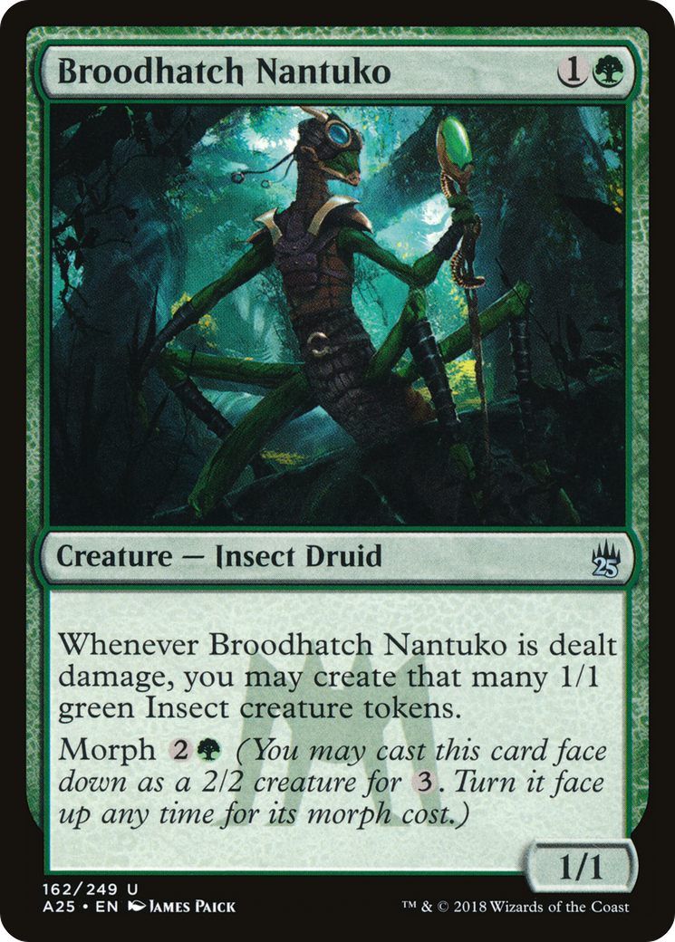 Broodhatch Nantuko (A25-162) - Masters 25