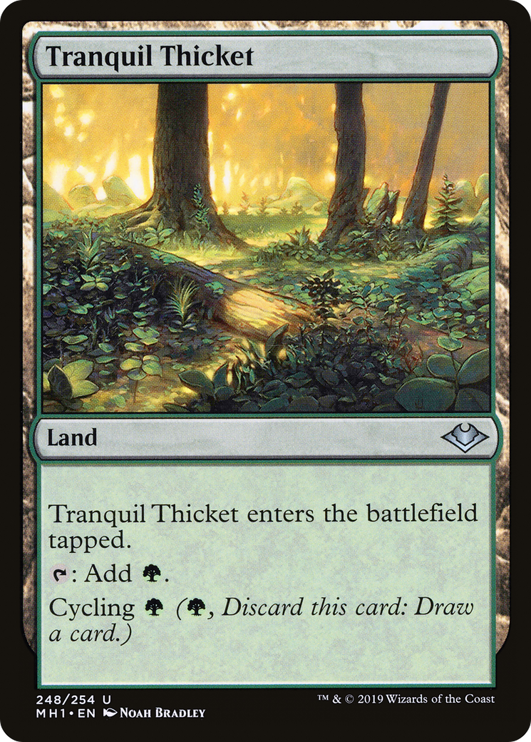 Tranquil Thicket (MH1-248) - Modern Horizons Foil