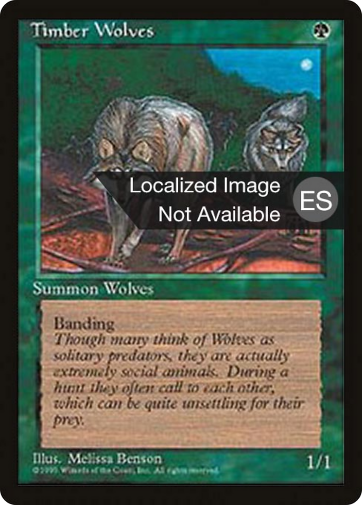 Timber Wolves (4BB-) - Fourth Edition Foreign Black Border