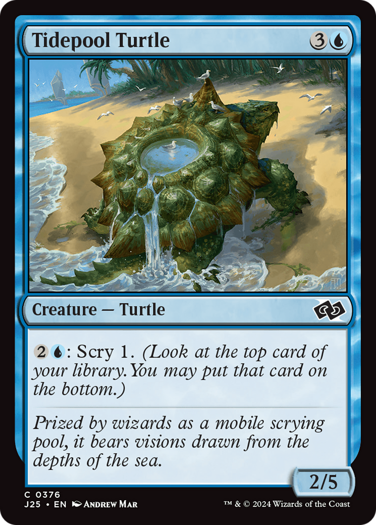 Tidepool Turtle (J25-376) - Foundations Jumpstart