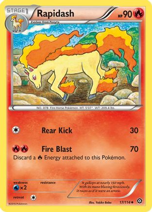 Rapidash 017  - Reverse Holofoil XY  Steam Siege - Uncommon