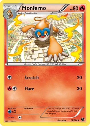 Monferno 019  - Reverse Holofoil XY  Steam Siege - Uncommon