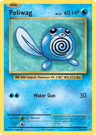 Poliwag 023  - Reverse Holofoil XY  Evolutions - Common