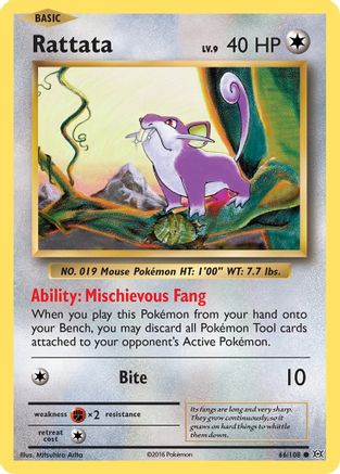 Rattata 066  XY  Evolutions - Common