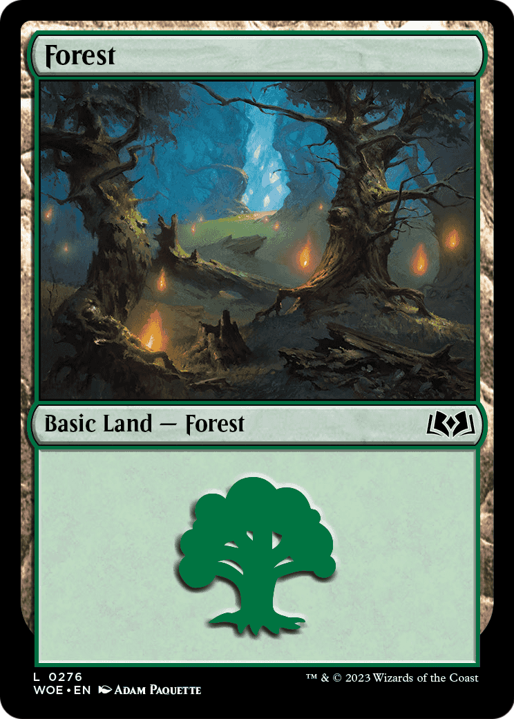 Forest (0276) (WOE-276) - Wilds of Eldraine