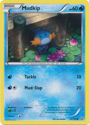 Mudkip (Sheen Holo) 033/160  - Holofoil Miscellaneous Cards & Products - Promo