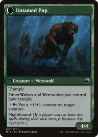 Hound Tamer (MID-187) - Innistrad: Midnight Hunt: (Double Faced Transform)