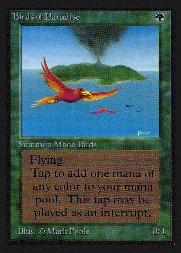 Birds of Paradise (IE) (IED-) - Intl. Collectors' Edition