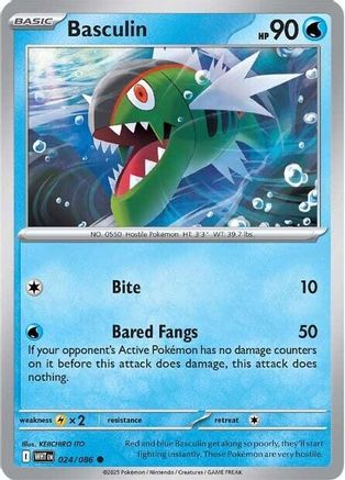Basculin 024  SV White Flare - Common