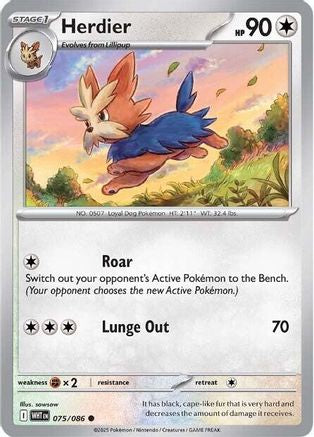 Herdier 075  SV White Flare - Common