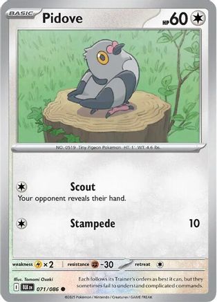 Pidove 071  - Reverse Holofoil SV Black Bolt - Common