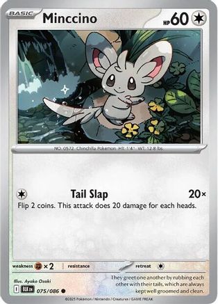 Minccino 075  SV Black Bolt - Common