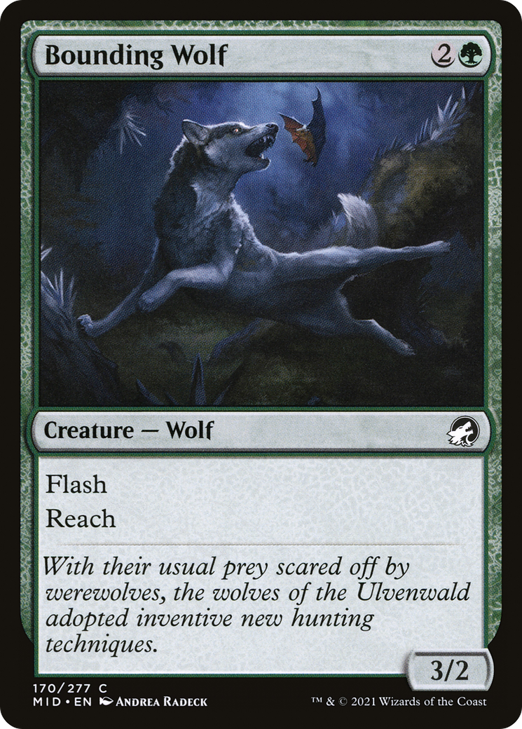 Bounding Wolf (MID-170) - Innistrad: Midnight Hunt