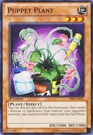 Puppet Plant (YSKR-EN022) - Starter Deck: Kaiba Reloaded 1st Edition