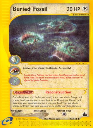 Buried Fossil  - Reverse Holofoil Skyridge - Common