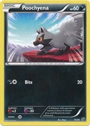 Poochyena  Kalos Starter Set - Common