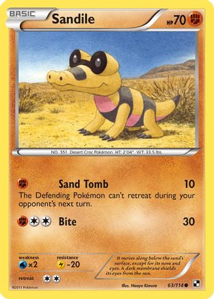 Sandile  Black and White - Common