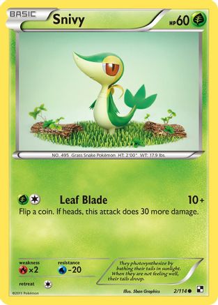 Snivy (2)  Black and White - Common