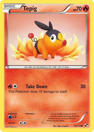 Tepig (16)  - Reverse Holofoil Black and White - Common
