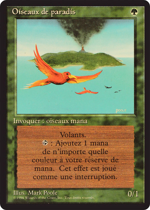Birds of Paradise (FBB-) - Foreign Black Border