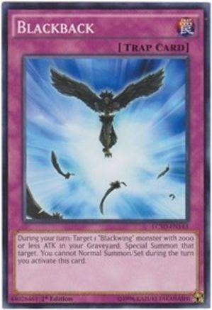 Blackback (LC5D-EN143) - Legendary Collection 5D's 1st Edition