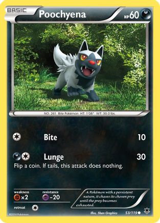 Poochyena 053  - Reverse Holofoil XY  Phantom Forces - Common