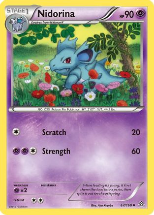 Nidorina 067  - Reverse Holofoil XY  Primal Clash - Uncommon
