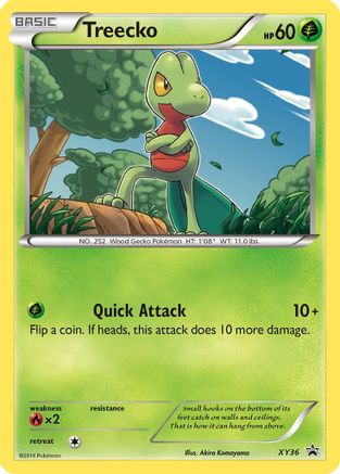 Treecko - XY36  - Holofoil XY Promos - Promo