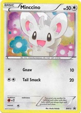 Minccino - BW13 (Cracked Ice Holo)  - Holofoil Black and White Promos - Promo