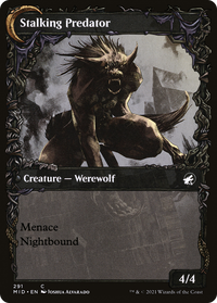 Shady Traveler (Showcase) (MID-291) - Innistrad: Midnight Hunt: (Showcase, Double Faced Transform) Foil