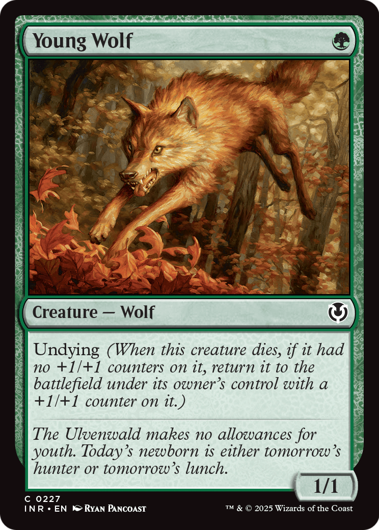 Young Wolf (INR-227) - Innistrad Remastered Foil